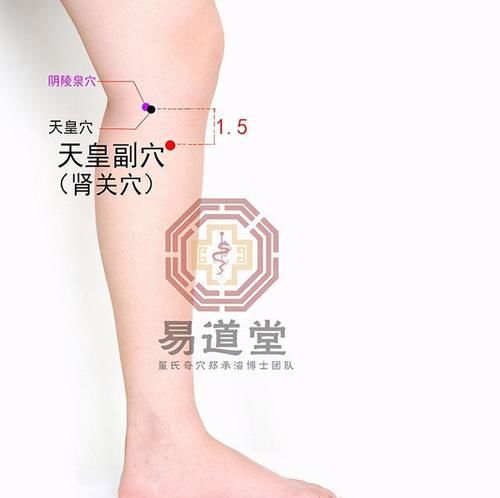 董氏奇穴三叉三穴治疗各类疾患的应用解密