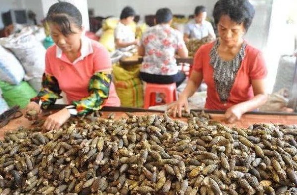 零食|曝光“一级致癌物”，别再当“零食”吃了，当心“丢命”！
