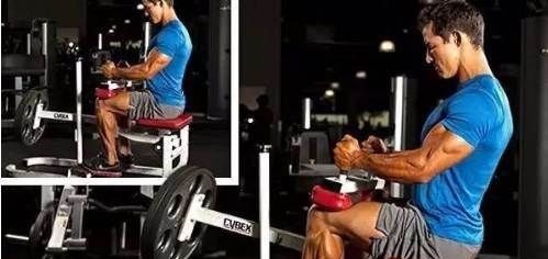 腘绳肌|男性强健双腿,提升活力,应该知道的训练技巧!