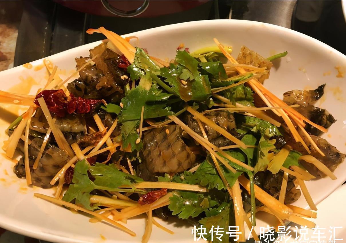 请公公婆婆吃饭,点了13个菜,吃掉1个月生活费,您觉得值吗?