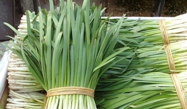 根部|吃不完的韭菜,放冰箱就错了,菜农教我土方法,放10天照样新鲜