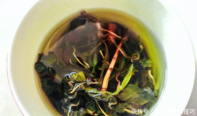 農民叫它“小人參”,鄉下看到別踩踏,采回家曬干1斤能賣80