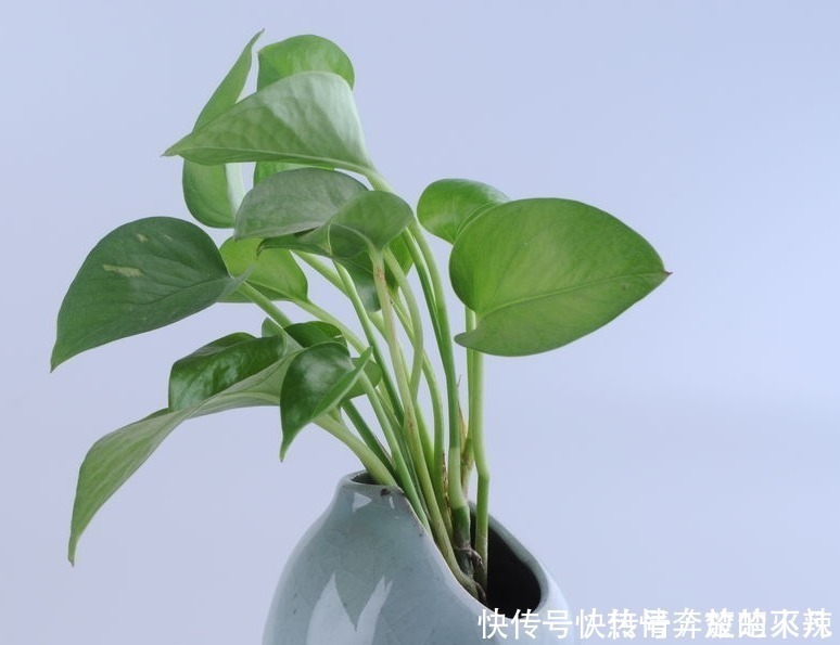 甲醛|除甲醛靠通风新房不宜开窗通风的3个时间点你知道吗!
