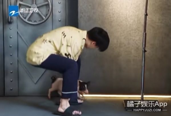 它逃,他追,它…跑的更飞?