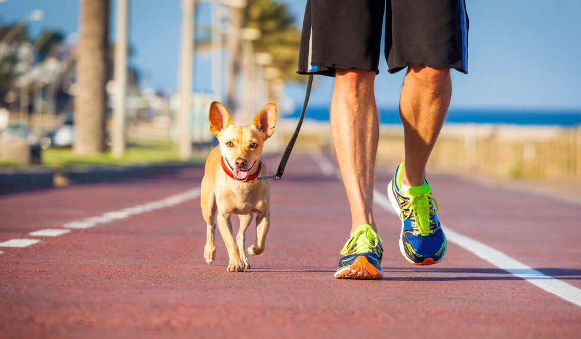 心脑血管疾病|坚持走路能保护血管？医生建议：虽然可以，但需牢记“357”原则