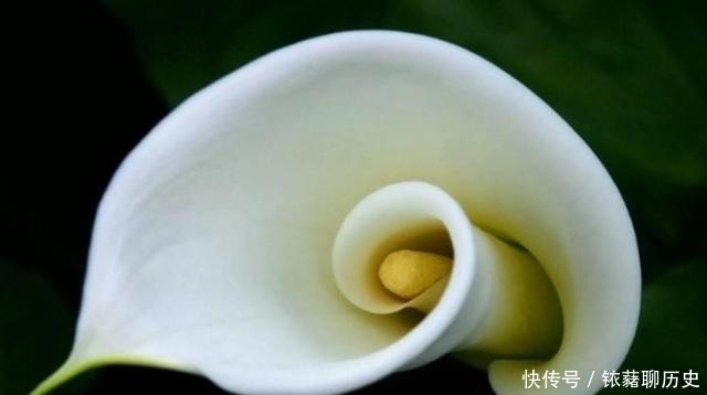 周易·系辞下|人生逆境时,学会逆来顺受,实为上策