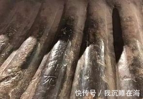 古墓&古墓棺椁上写着“开者即死”,考古工作者冒险打开,诅咒灵验了吗