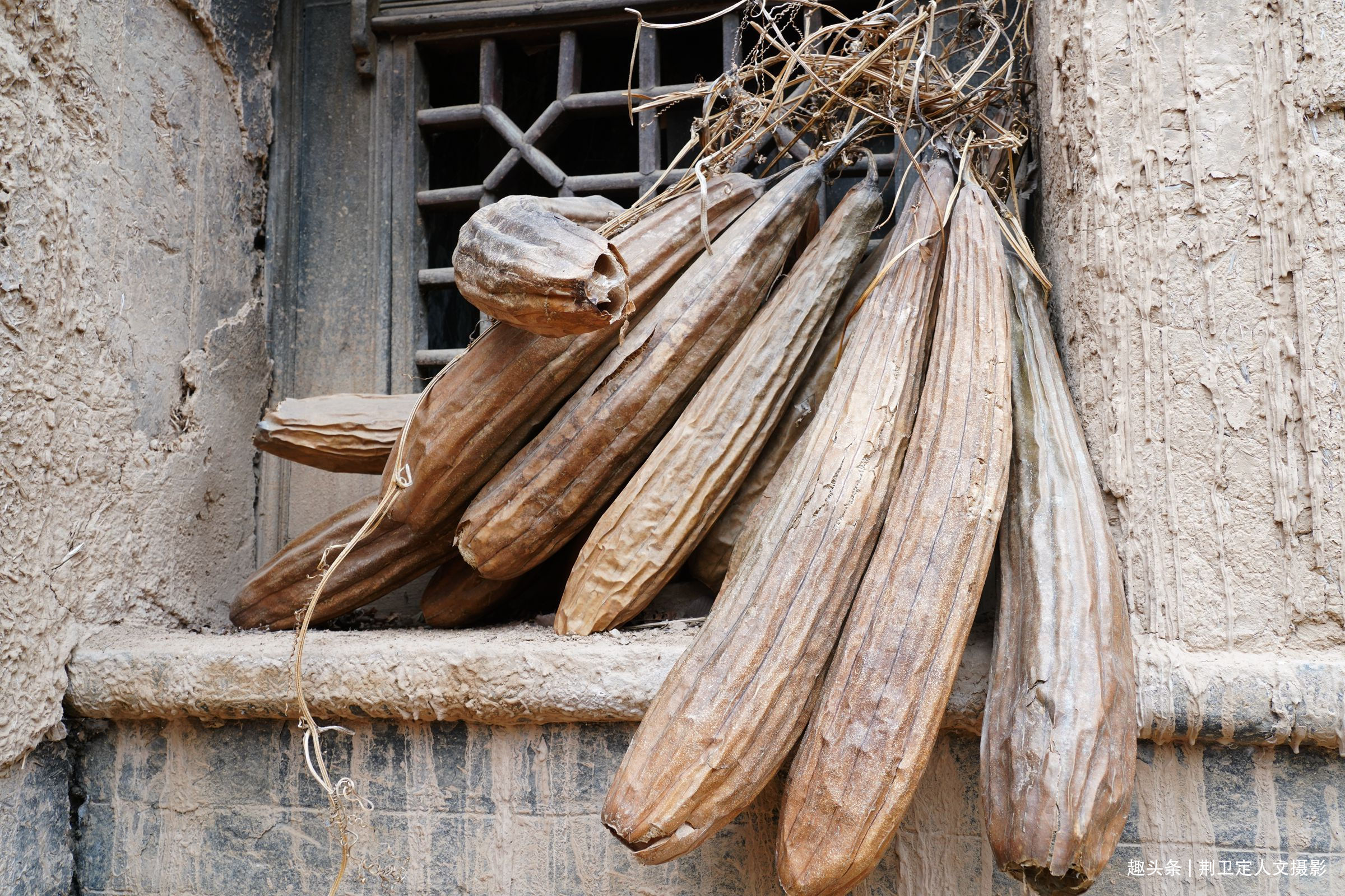 照壁$300年举人老宅藏有密室暗道,农民大叔不曾使用,落下后悔事