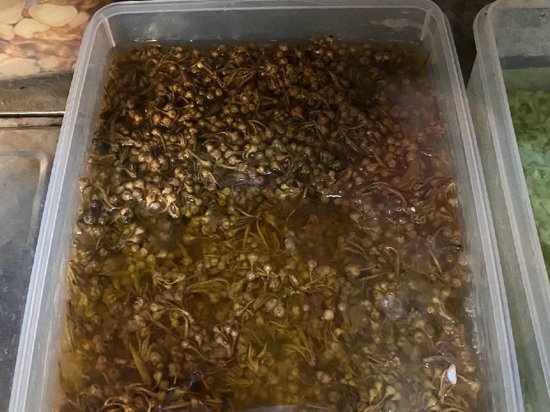 香飘飘的花,吃一口满嘴花香,再不吃就没了