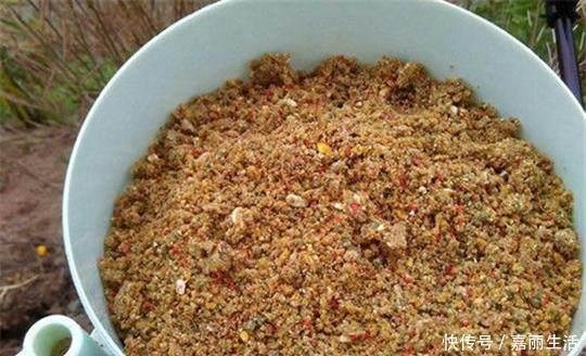 麦麸子|野钓秘方窝料、饵料配方大揭秘,可以让你的鱼获翻倍哦
