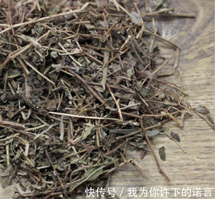 采摘|农村常见的奶草是“宝贝”,辨清不要与马齿苋混淆,误吃多了不好