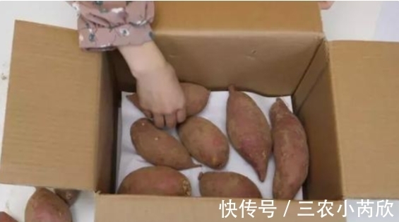 地窖|奶奶保存红薯的妙招,不用地窖也可以,放1年都不坏,还越来越甜