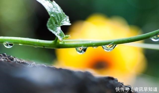 一声声一更更，点滴芭蕉心欲碎，7首古诗词，听雨落下的声音