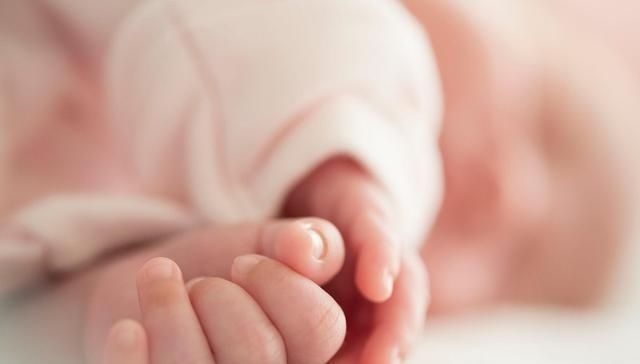 阳气|阳气不足的人,会出现4个表现,多吃它,益气健脾,恢复自身阳气