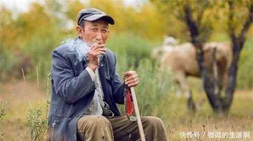 麒麟|俗语宁要麒麟子,不要化骨龙,啥意思老祖宗说给为人父母的话