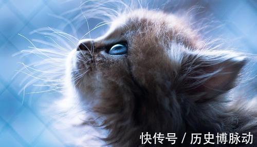 |幽默笑话:前段时间朋友介绍了个对象,感觉不错,就在一起了