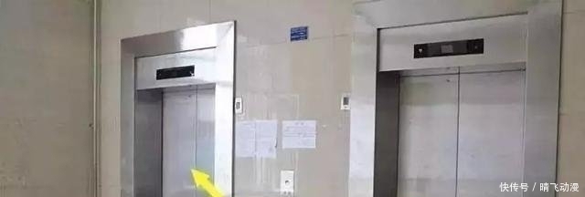 楼层|买电梯房，选“楼层”很重要，我家当初不懂，买了才开始后悔