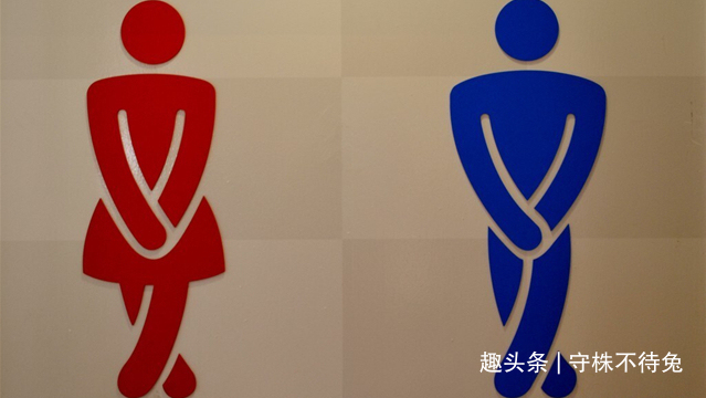 19个冷知识:鲜为人知,但却真实存在于世界的奇怪知识