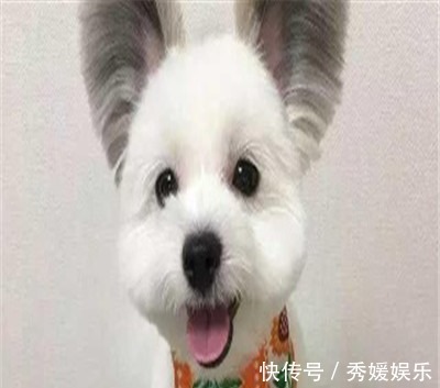 |搞笑段子邻居家孩子在我车上乱刻,我不仅没生气还给了他10块钱