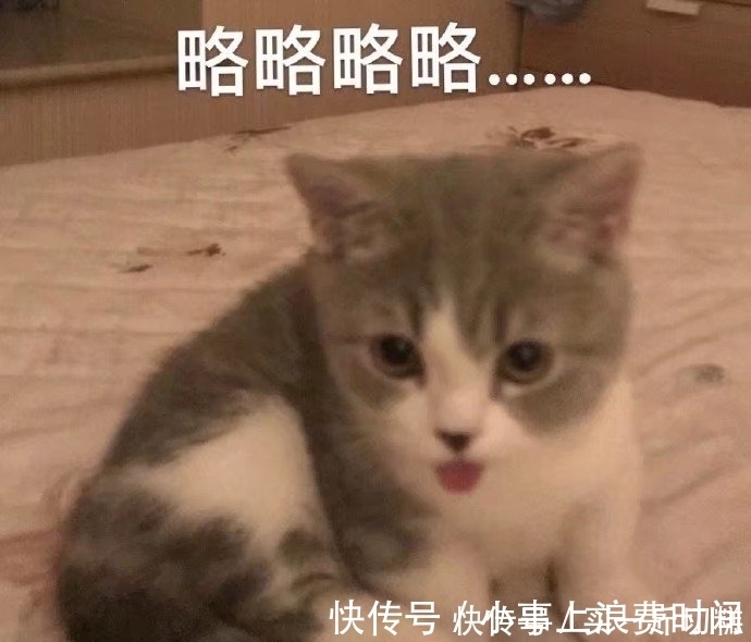 |搞笑表情包图片:请注意你的言行举止,略略略略!