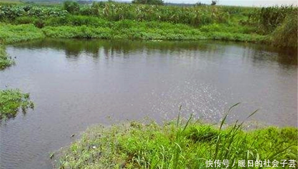 野钓|打窝聚鱼不能慢人一步,这样打窝发窝快速,上鱼快人一步!