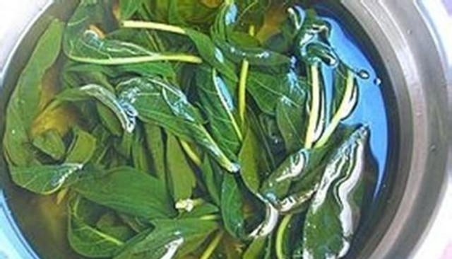 很多人都只吃种子,实际叶子才是真宝贝,20一斤供不应求