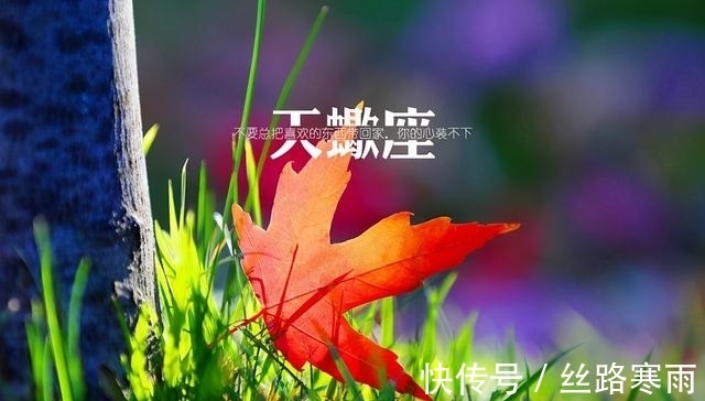 孤独|越聪明，越孤独的星座，段位太高，无人能及，高处不胜寒，落了单