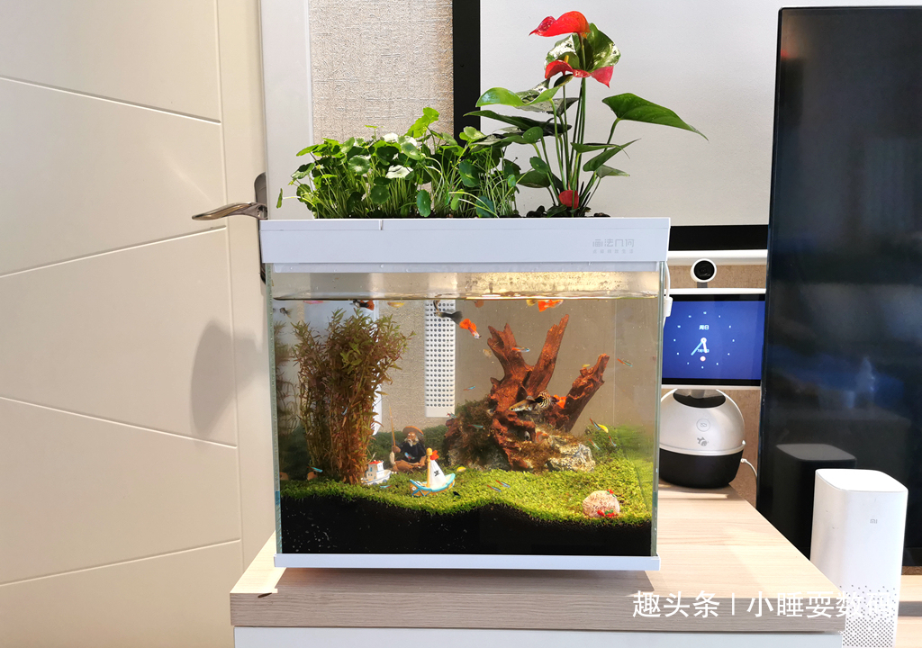 哪种鱼缸更适合养鱼画法几何AI智能鱼缸，水质监测还能自动喂食