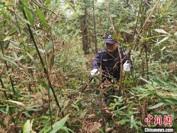 皮划艇|八旬老人被困深山48小时 300余人“水陆空”成功搜救