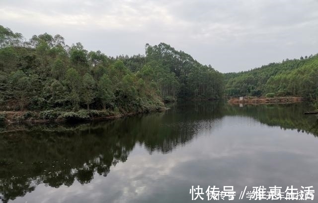 荒塘|某些钓鱼人,请你自觉点,这些不齿之事难登大雅之堂,别再丢脸了