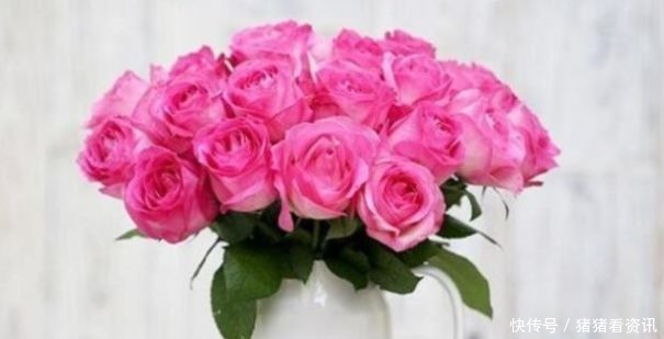 “稀有玫瑰”糖果雪山,似糖果般甜蜜,清香袭人,堪称养花必备