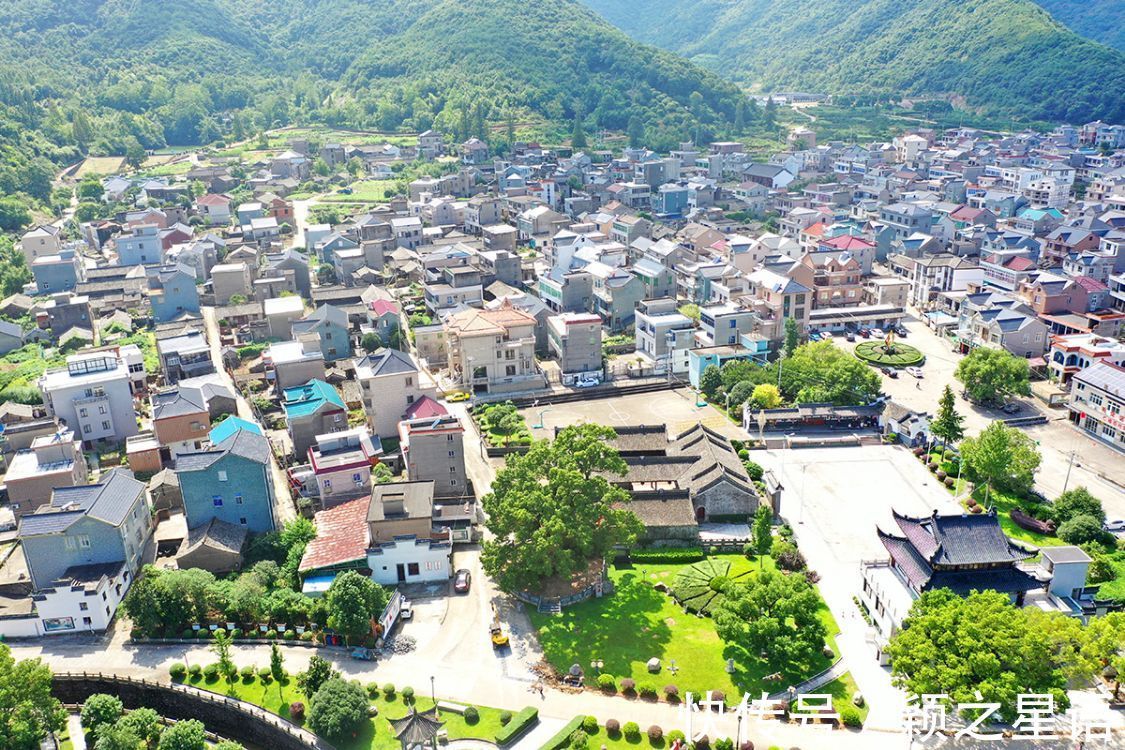 灵芝谷|象山樟岙村，灵芝谷，千年古樟的树洞越来越小