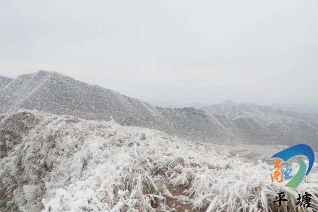 平塘雾凇美如画|图集 | 平塘县