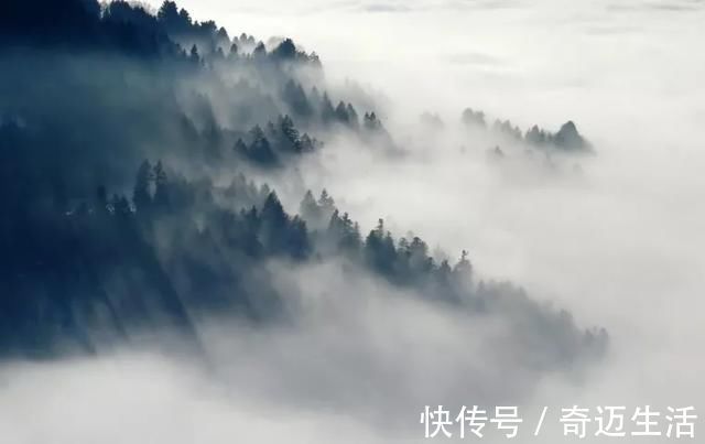 陆凯#诗词丨史上最美的8首短诗,首首经典,谁读了都会心醉