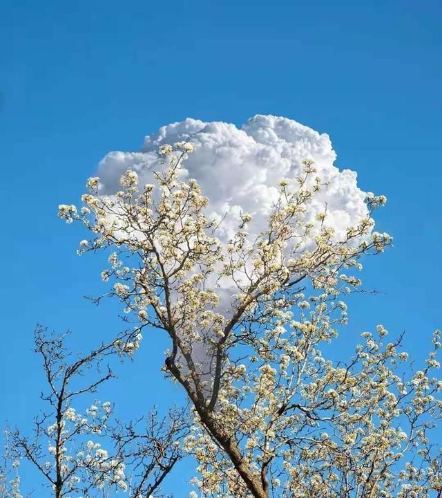 声色@当你对生活失望时,不妨多读读10句话