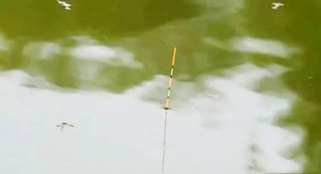 无子线调漂的两种常见思路,一种用于钓大鱼,一种灵活多变