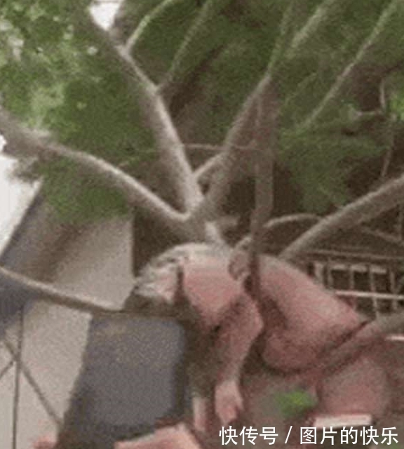 |搞笑GIF:外卖小哥,你这是要改行做理发师吗?