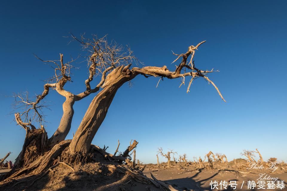 电影《英雄》取景地--内蒙额济纳，记录炫丽迷人的七彩丹霞地貌