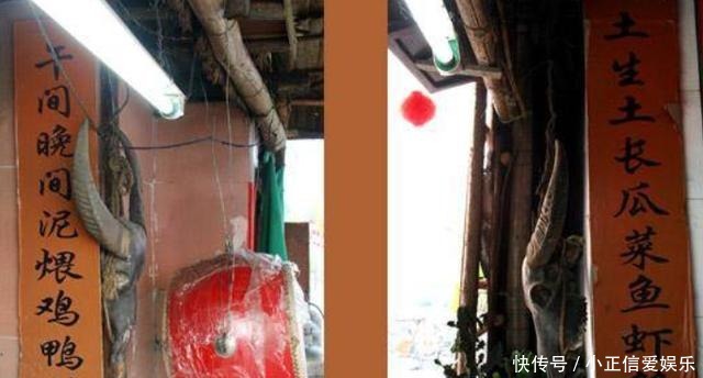 甘罗|少年探花戴大宾善于联诗做对,与曹植、甘罗被后人并称古代三神童