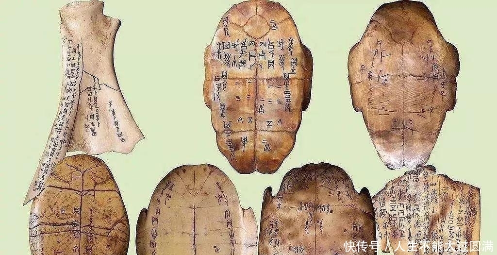 古代一敷就能止血的金疮Y，为何后来消失了 专家：看一看原材料就明白了