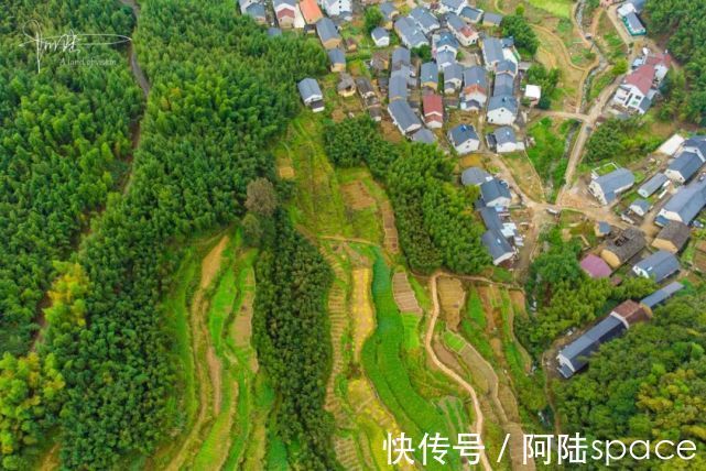 小村|这个杭州的山间小村，有竹海和梯田，美得像油画一样