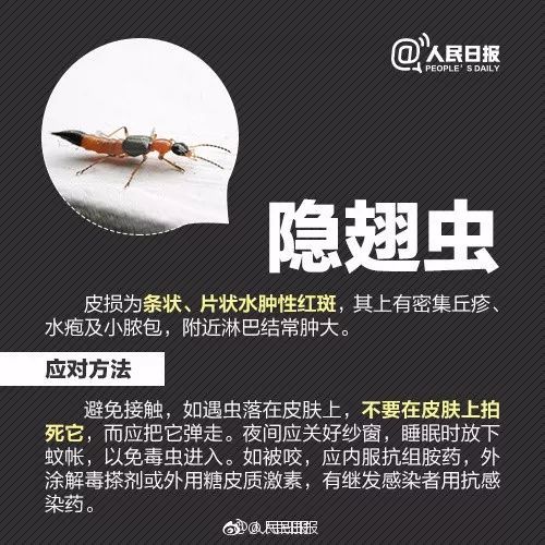 紧急提醒！近期尽量别穿这种颜色的衣服出门！