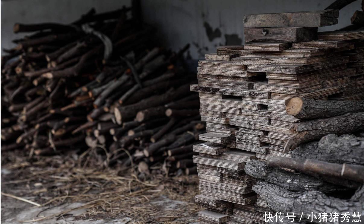 专家画1800元买了一捆“柴火”,运回家日夜鉴定,后价值5亿