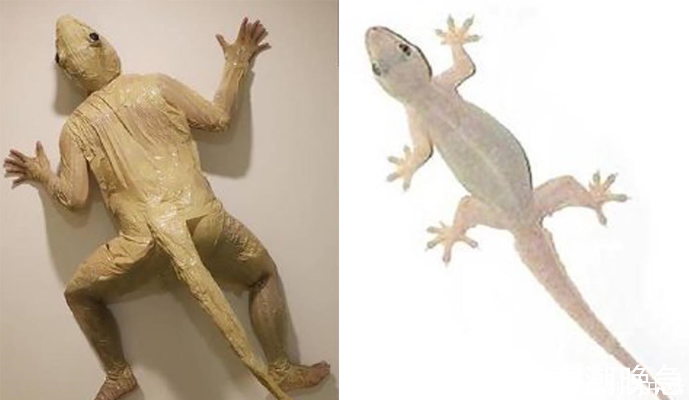 黑客帝国|泰国小哥的COS越来越出圈,二次元已经没有难度,万物才是极限