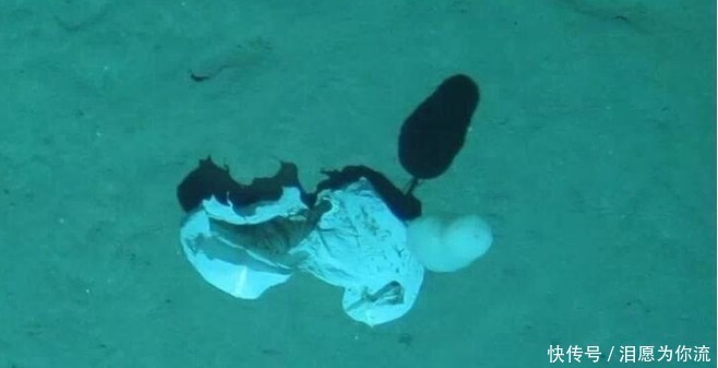 无人潜水器 3900米海底深处,“潜龙三号”拍摄了一组照片,我们应该反思