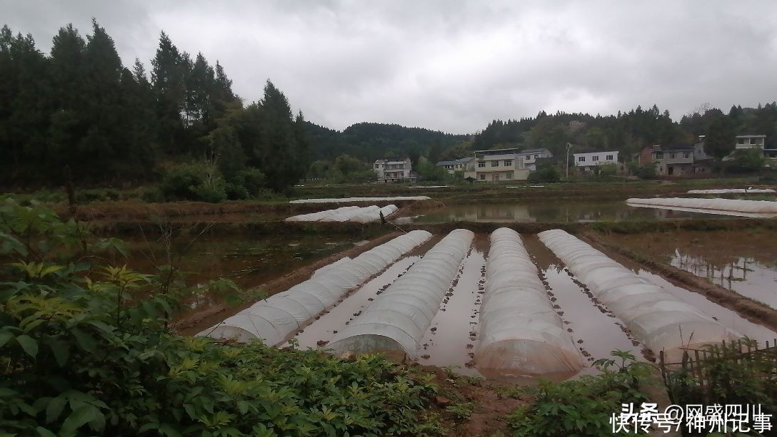 清明，在祭祖的路上看风景（二）