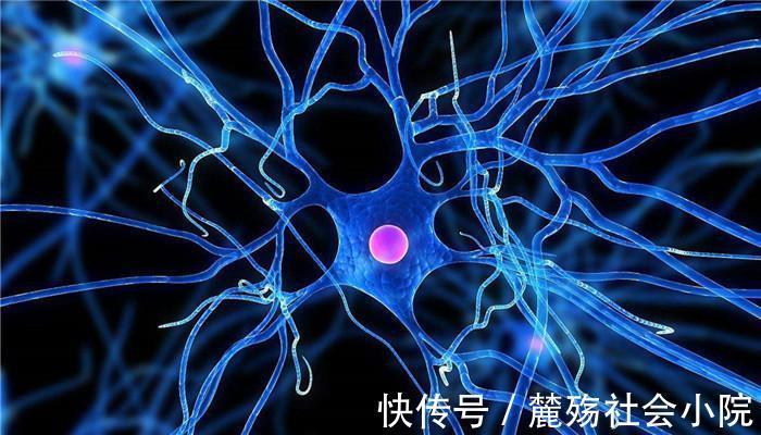 年龄|人活到多少岁才算长寿？别贪心，在这个年龄范围，就很让人羡慕了