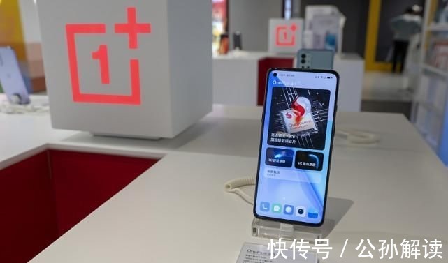 oled|往巨坑放网洒诱饵，3天后来抽引粉丝围观，抓到大货现场沸腾了