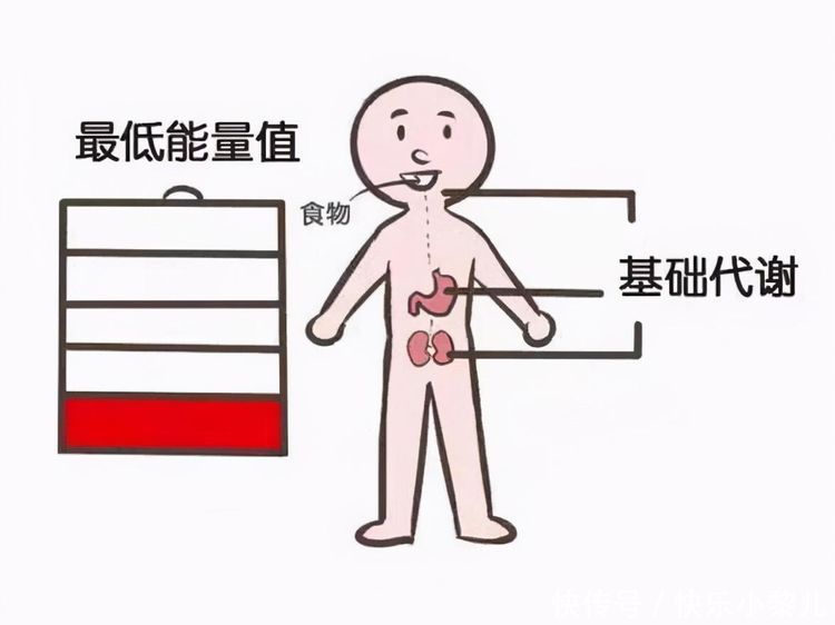 哺乳期减肥，不影响奶水还能掉秤的方法|个人经验分享| 奶水