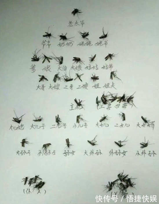 |开心笑话单位开会,老po忽然来语音,我顺手点开了,也没减音量